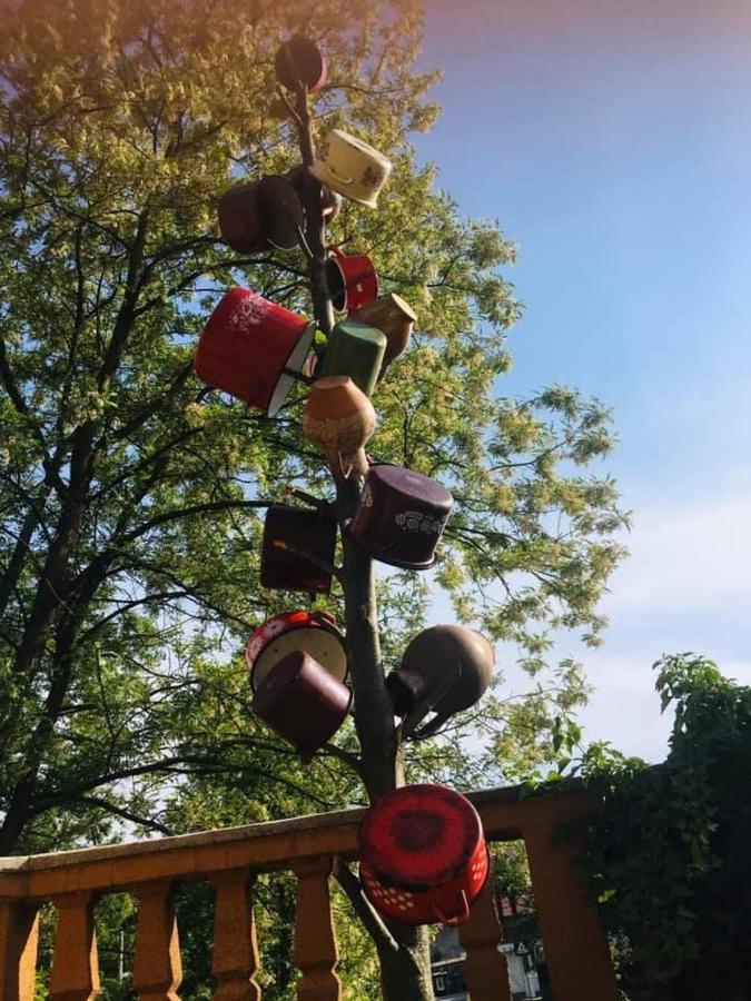 Pensiunea Casa Mariuca Văleni Exteriér fotografie