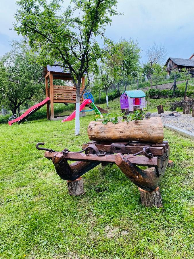 Pensiunea Casa Mariuca Văleni Exteriér fotografie